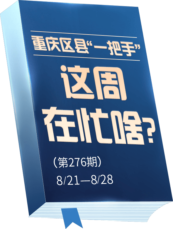 重庆区县“一把手”这周在忙啥？