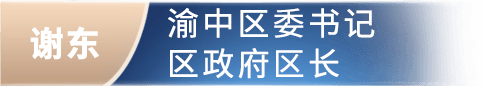 谢东 渝中区委书记