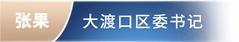 张果 大渡口区委书记委书记