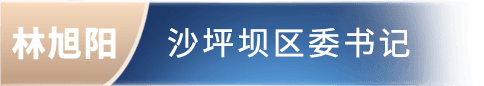 林旭阳 沙坪坝区委书记委书记