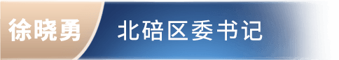 徐晓勇 北碚区委书记委书记
